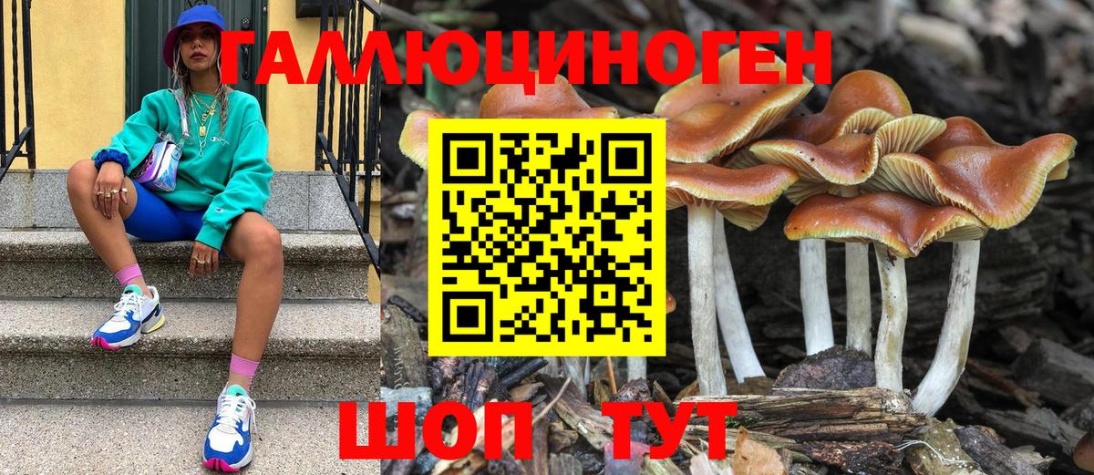 Галлюциногенные грибы мухоморы Елец
