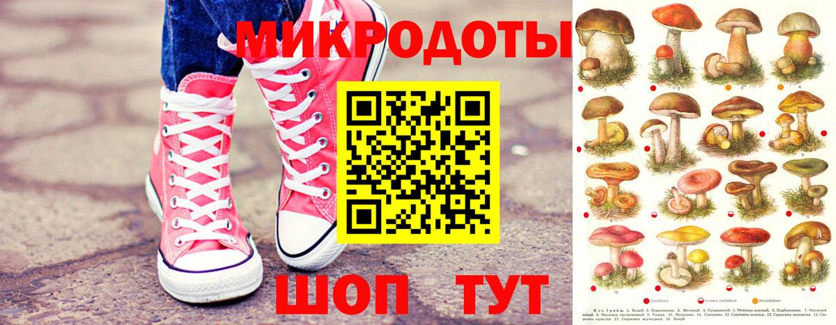 Псилоцибиновые грибы мицелий  Вход с VPN  Псилоцибиновые грибы мицелий  Елец 